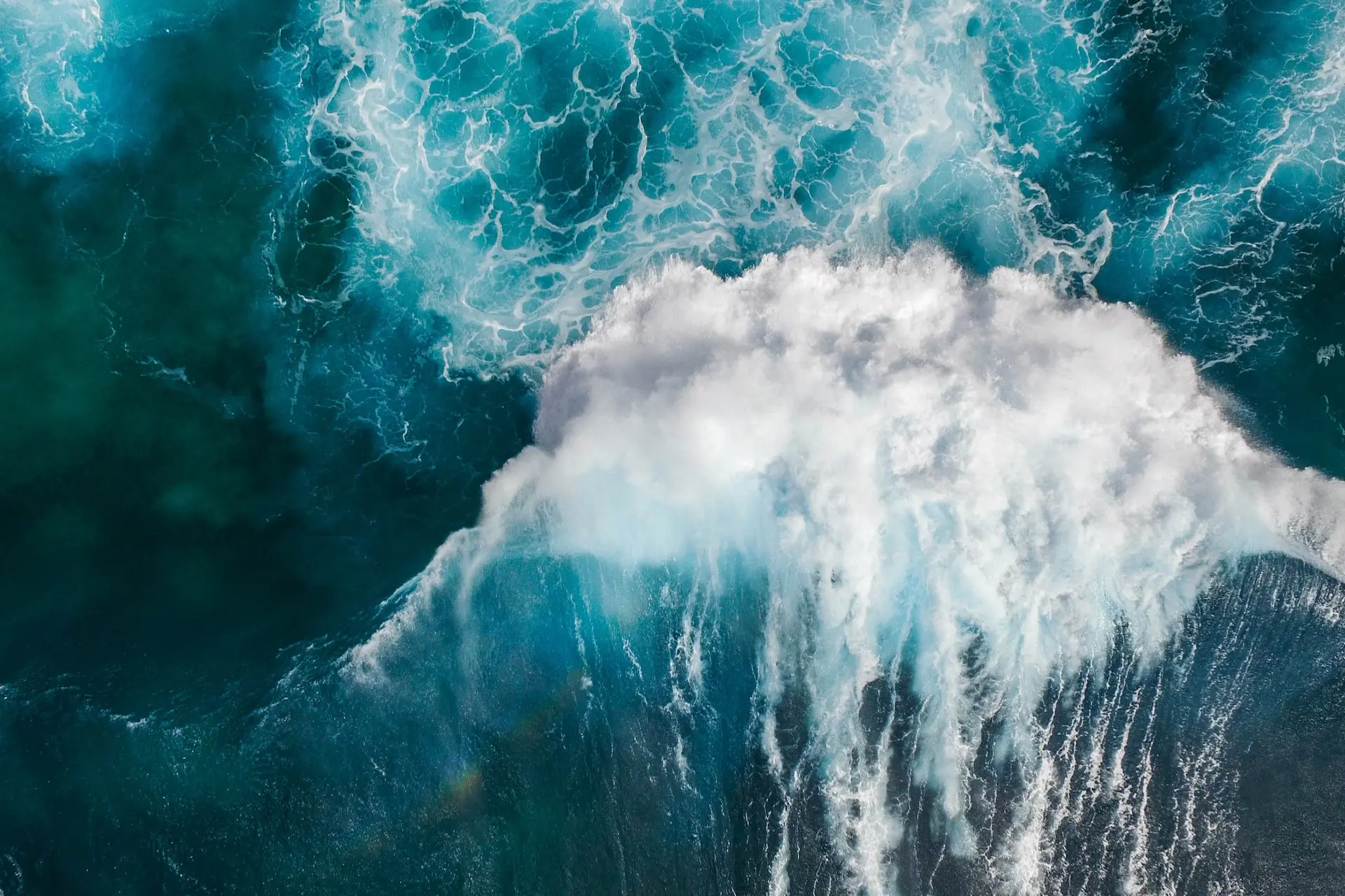 michael-olsen-djS1aPrSr4-unsplash-1