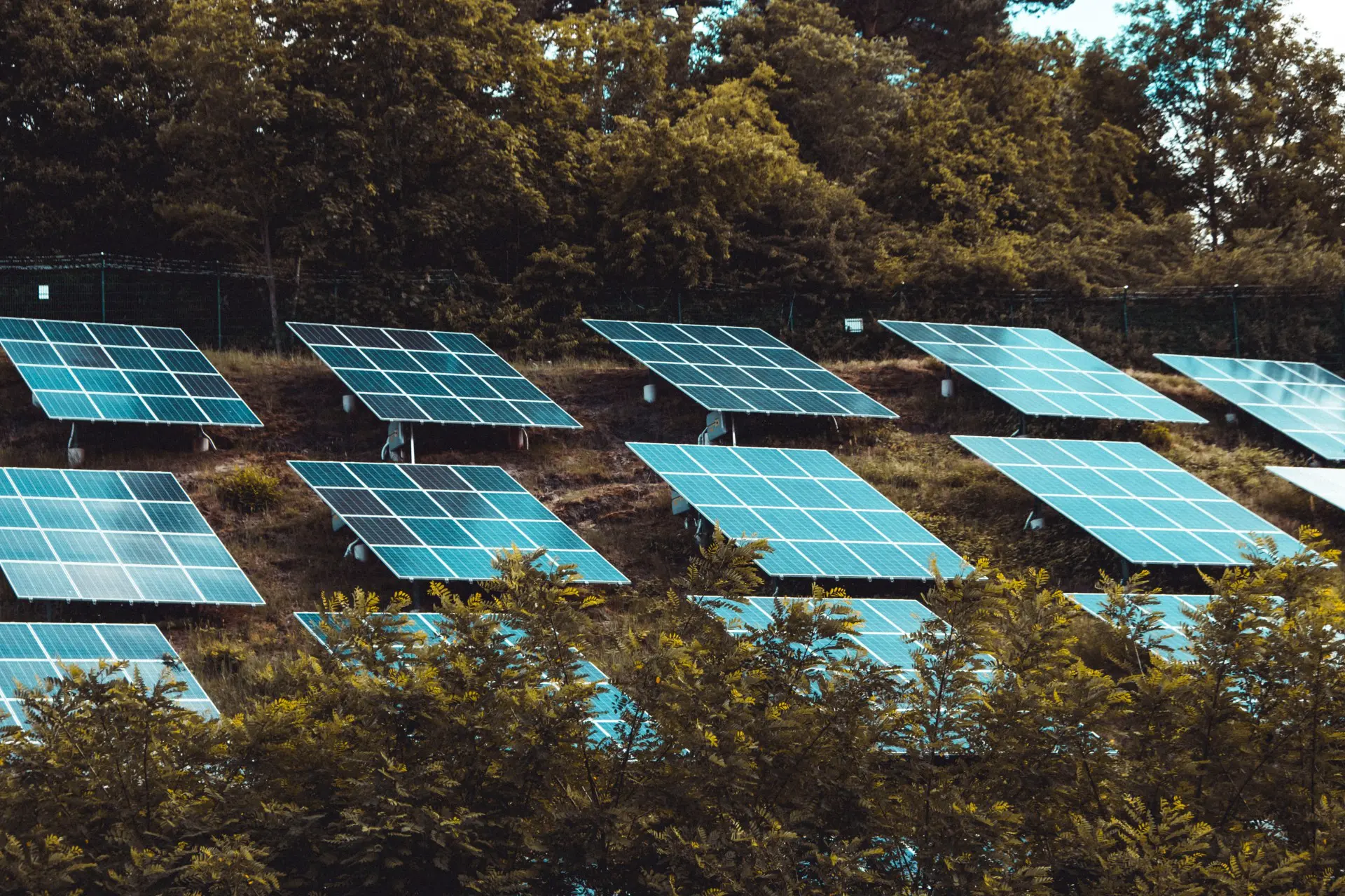 moritz-kindler-SKRzGN47iQ-unsplash