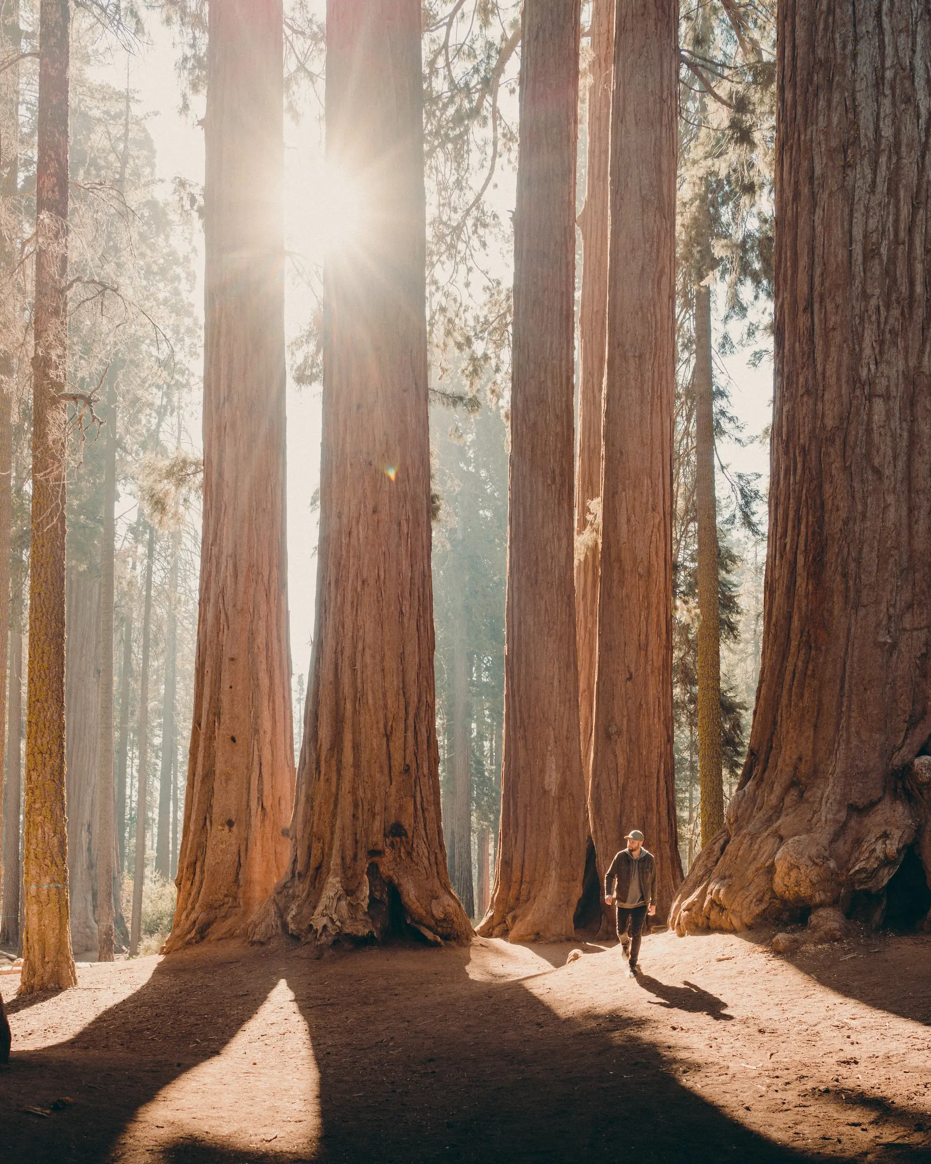national-park-road-trip
