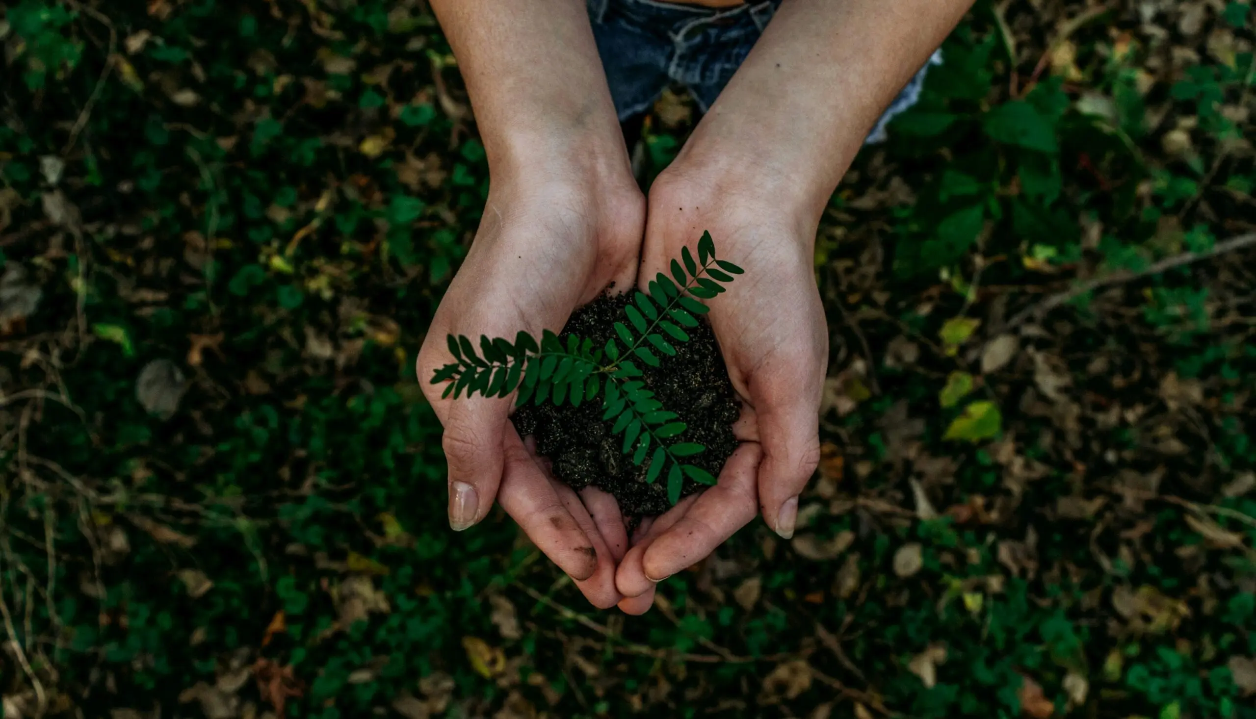 noah-buscher-x8ZStukS2PM-unsplash-scaled-1