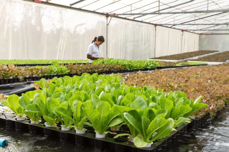 organic_farming_1578688326-e1578688359336