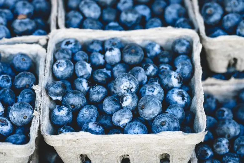 organic_food_1582662503-e1582662520572