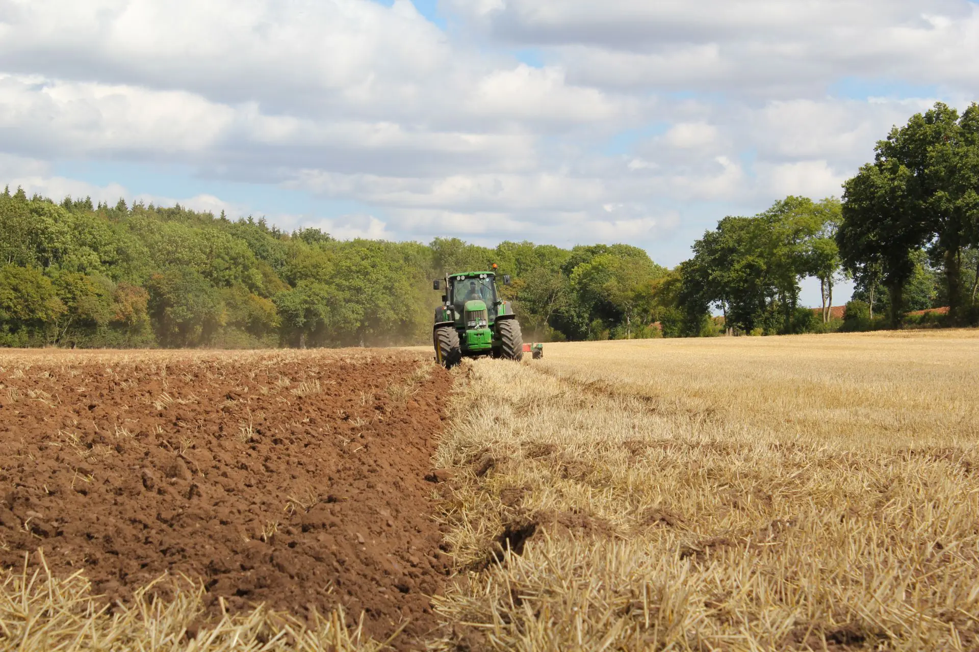 overfarming
