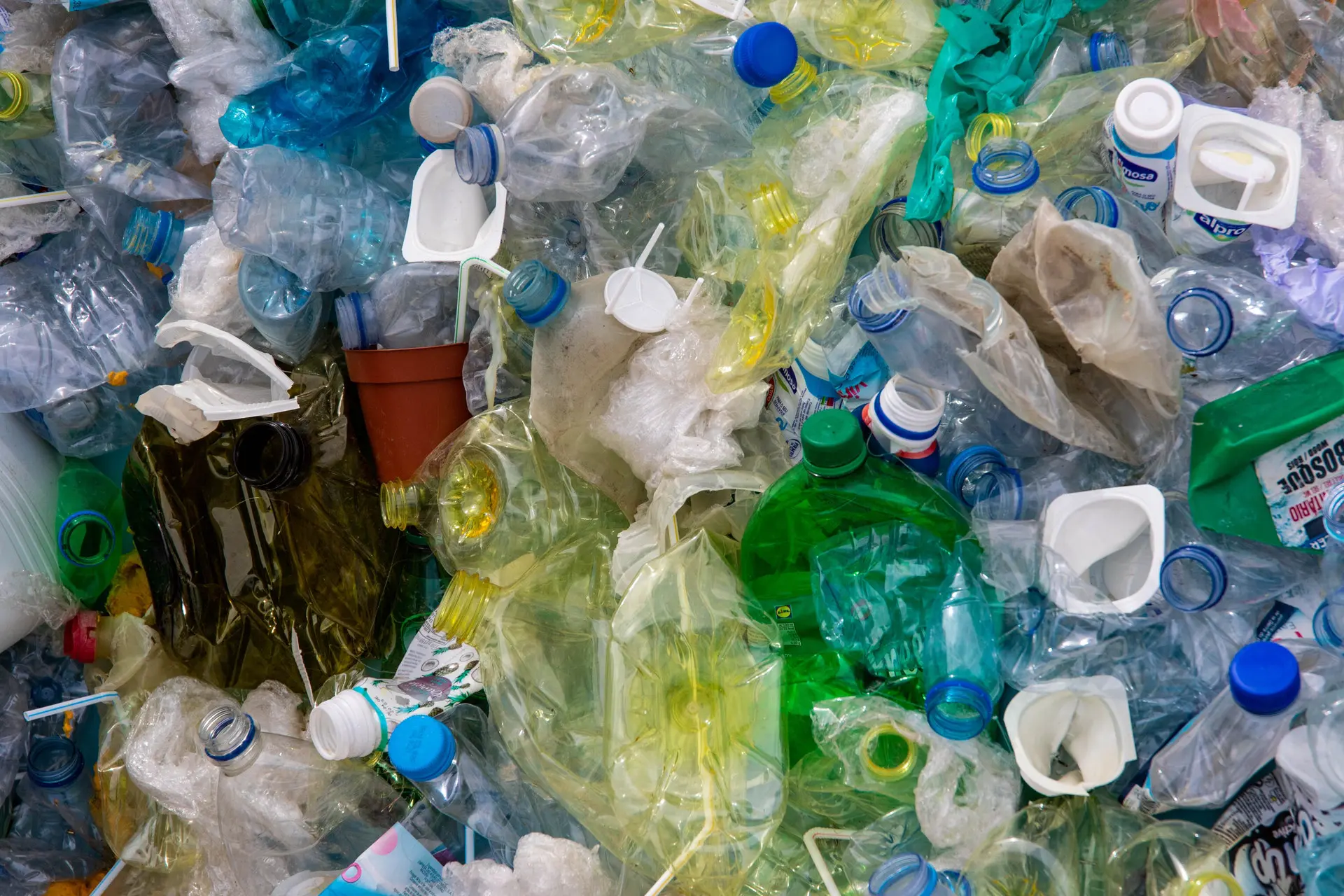 reduce-your-carbon-footprint-and-fight-climate-change