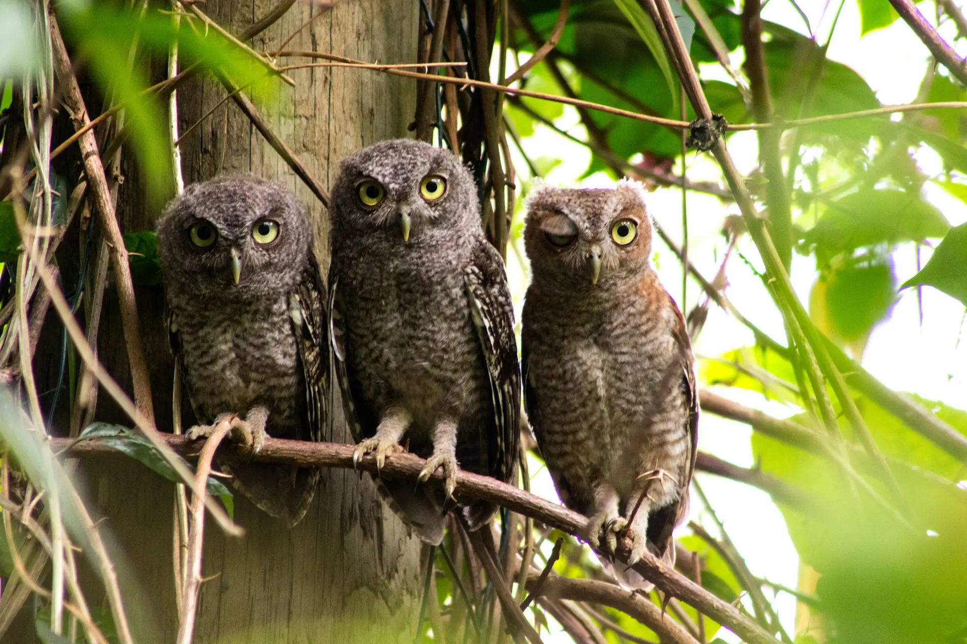 robin-canfield-MUwy-9TLUg0-unsplash-2