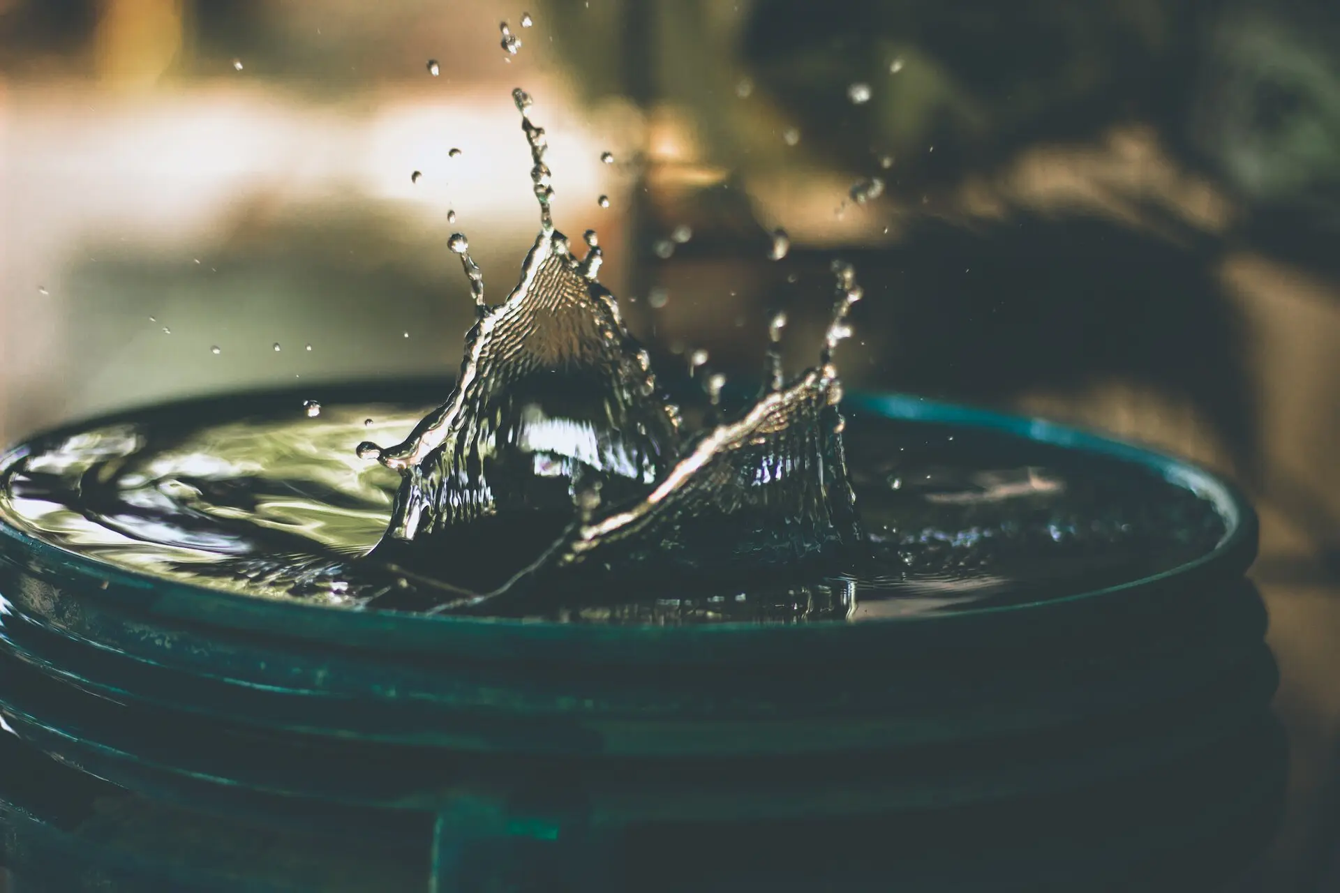rsz_amritanshu-sikdar-lognr-w1d8e-unsplash