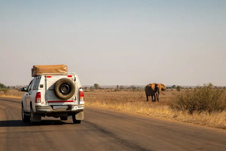 safari_tour_1586545891-e1586545903935