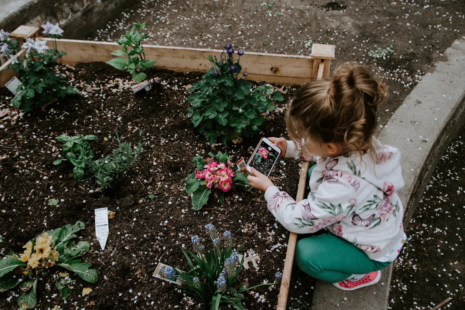 student-garden-ENVR