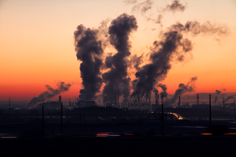 the_environment_1545677411-e1545677451531