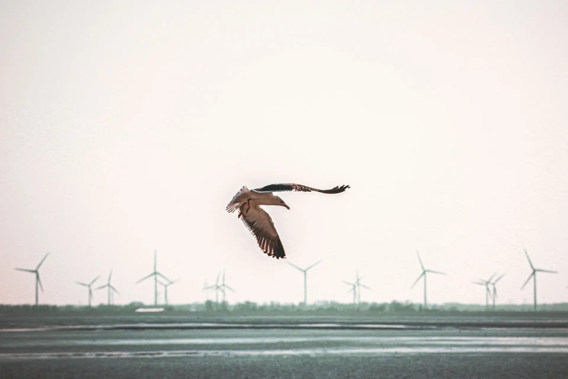timusic-photographs-x_yzCtgX0vI-unsplash