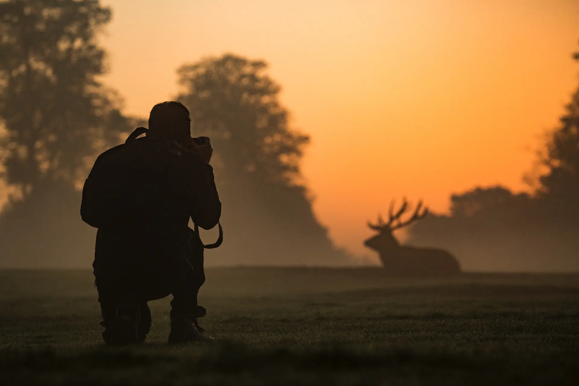 wildlife-photography-jobs