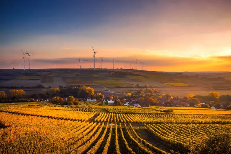 wind_farm_1516976209-e1516976233448