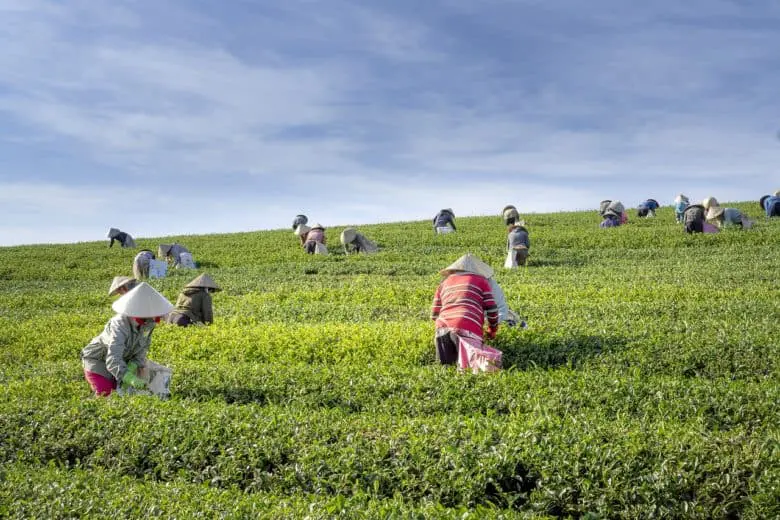 working_women_1579273805-e1579273819575
