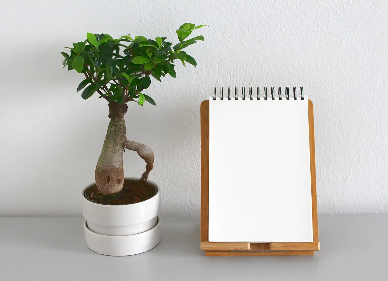 zero_waste_1536683661