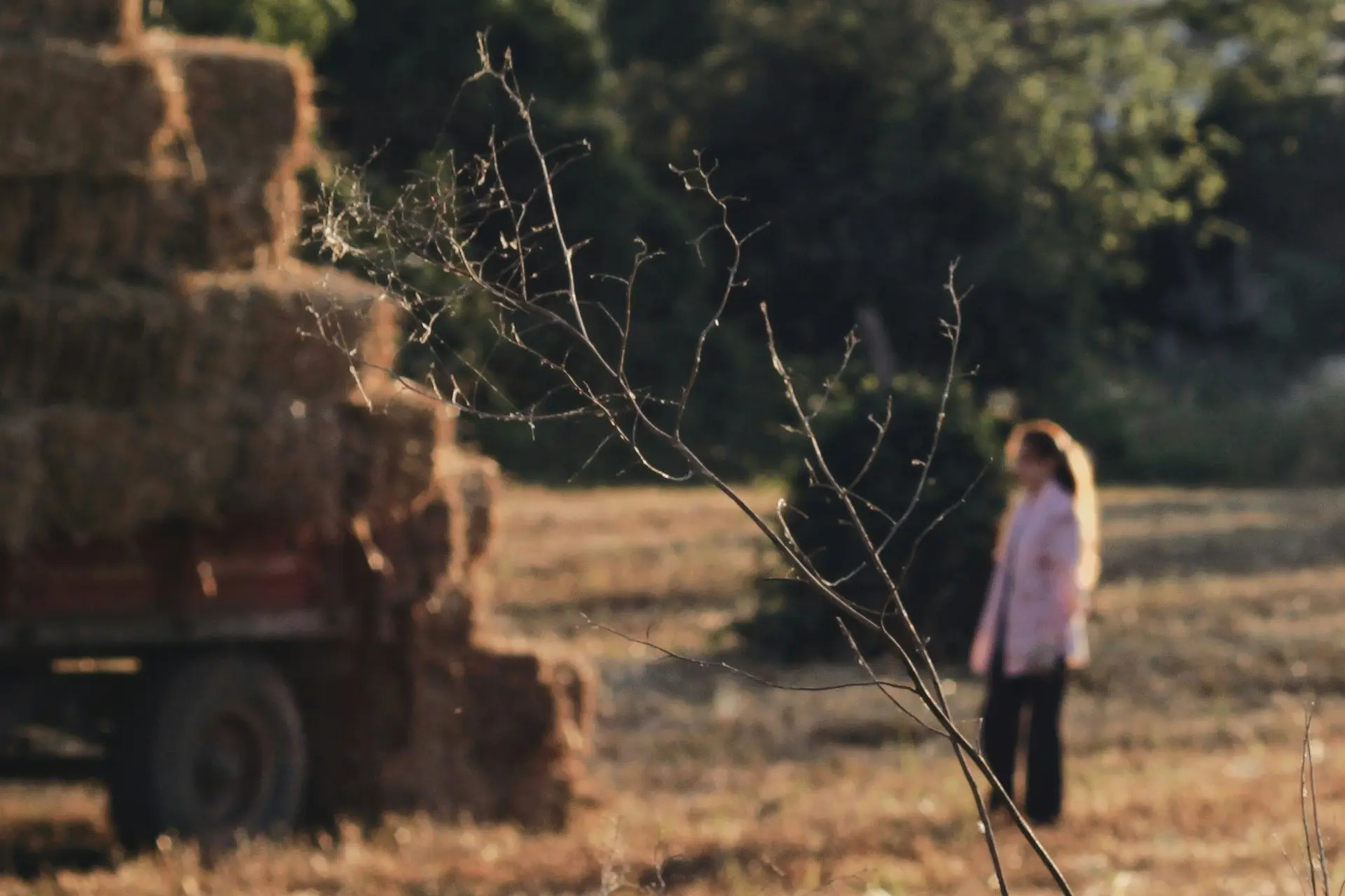 zeynep-sumer-63LPCyGOtpg-unsplash