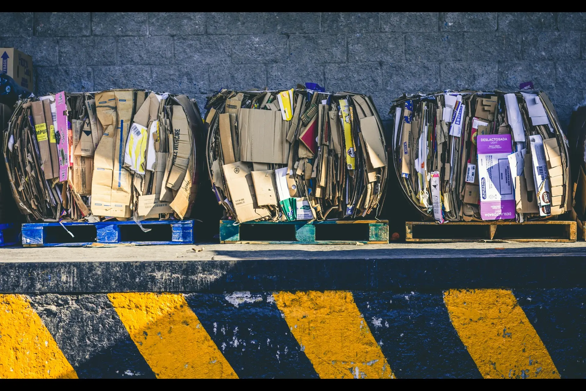 alfonso-navarro-qph7tJfcDys-unsplash-1