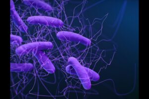 Are Superbugs the Next Pandemic? The Environmental Link You Should Know