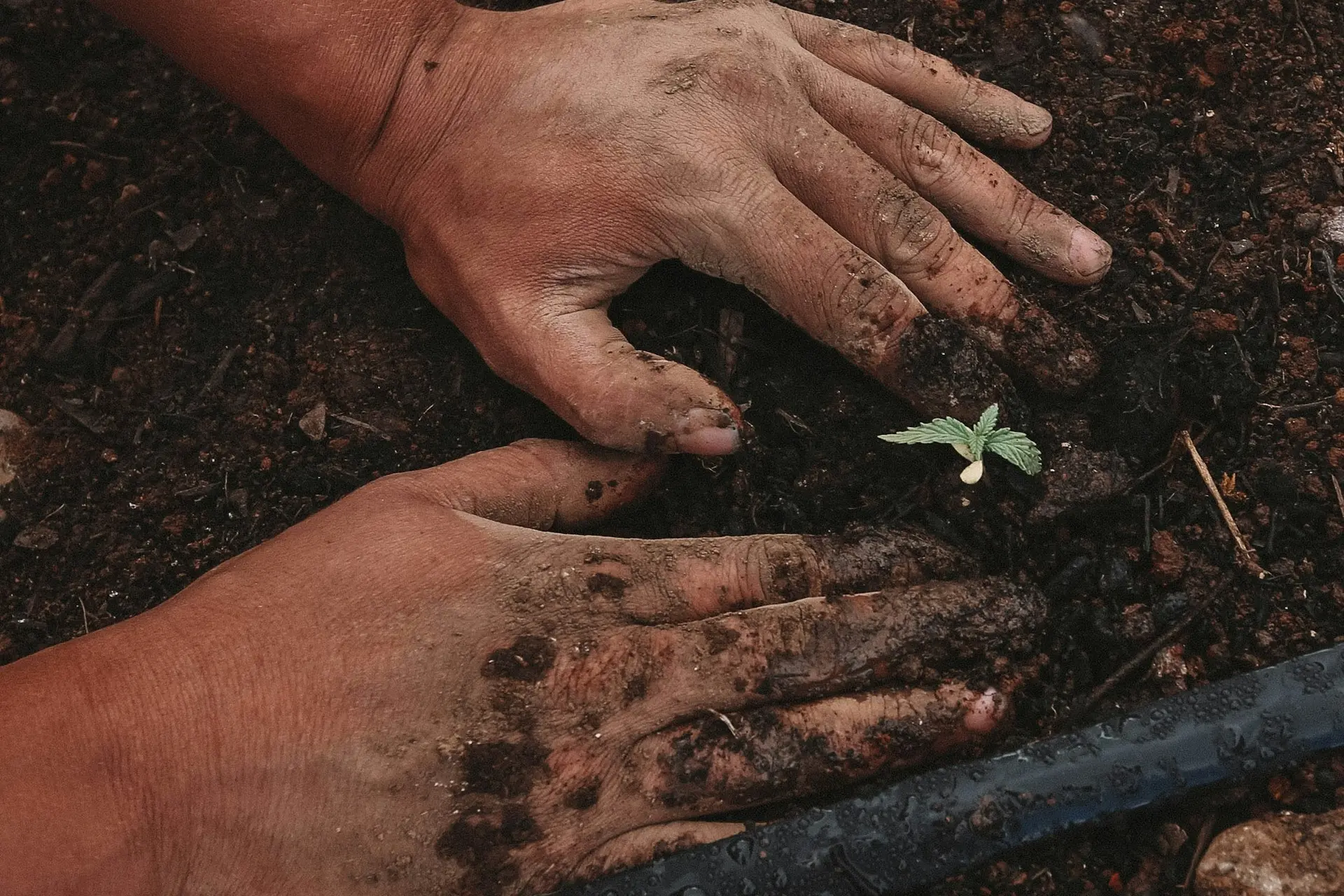 greenforce-staffing-bYZn_C-RswQ-unsplash-1