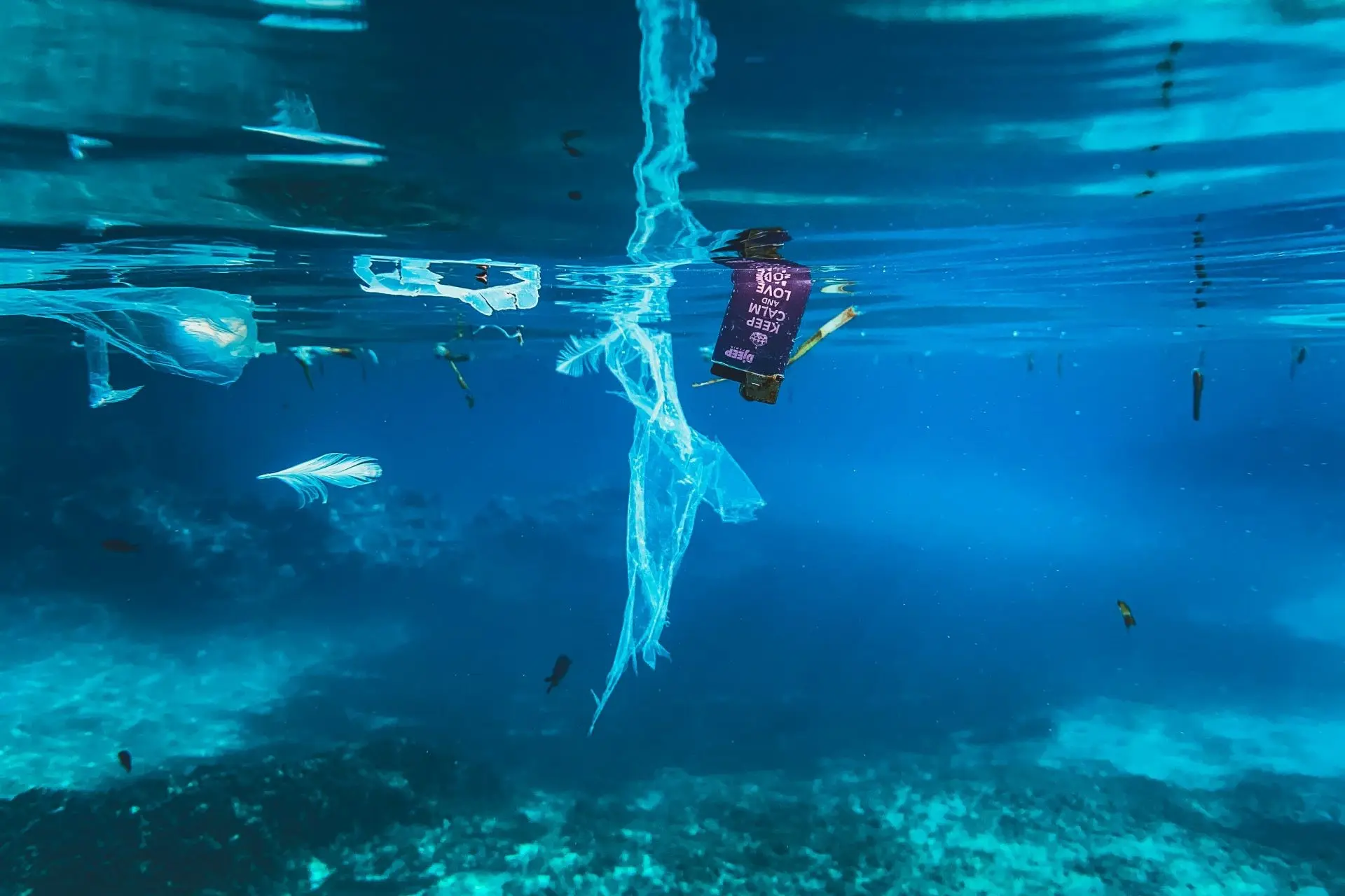 marine-debris