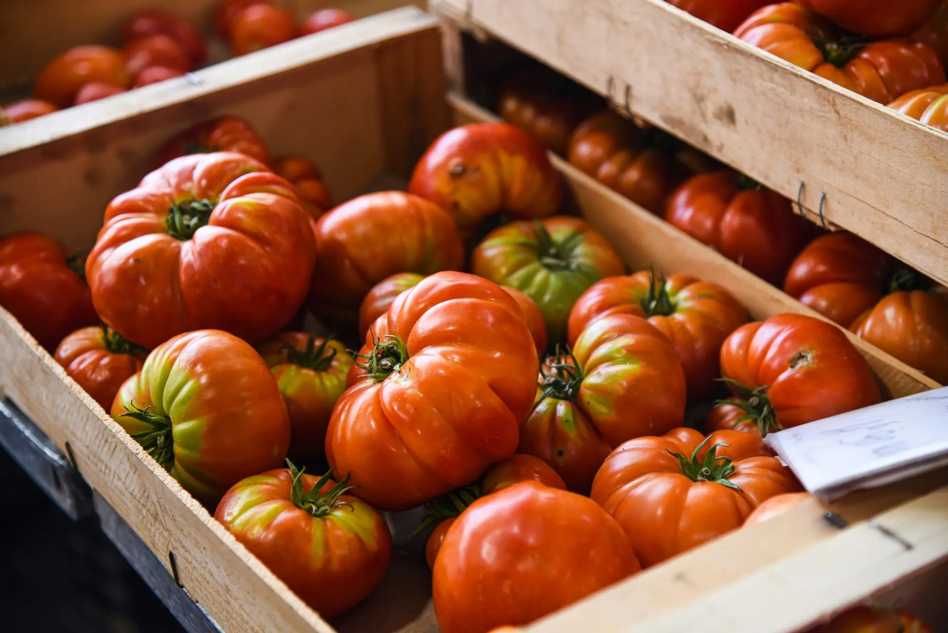 Heirloom tomatoes are a popular kind of heirloom vegetables
