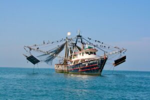The Hidden Costs of Your Seafood: A Deep Dive Into Ocean Trawling