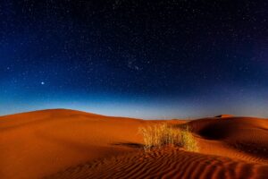 Beyond the Mirage: A Look Inside the World’s Desert Ecosystems