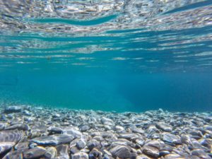 Deep-Seafloor: The New Frontier - Environment Co