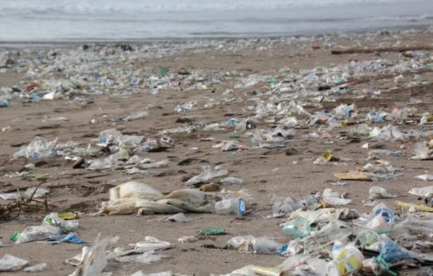 plastic pollution growth
