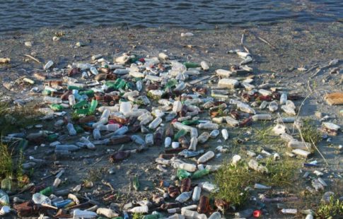 plastic pollution infiltrated remote island