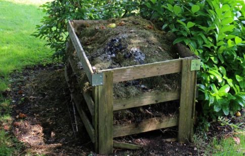 composting facts