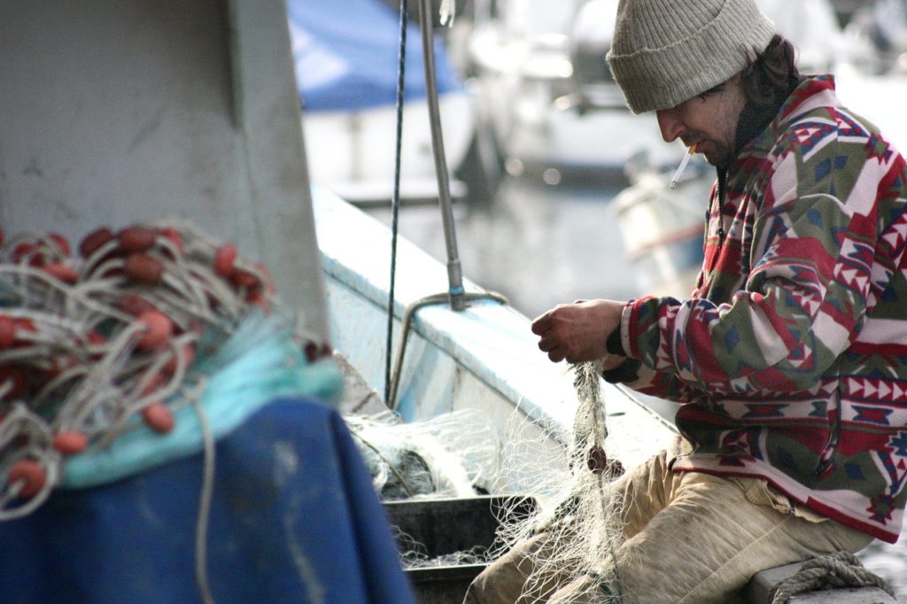 12 Overfishing Solutions That Could Save Our Oceans