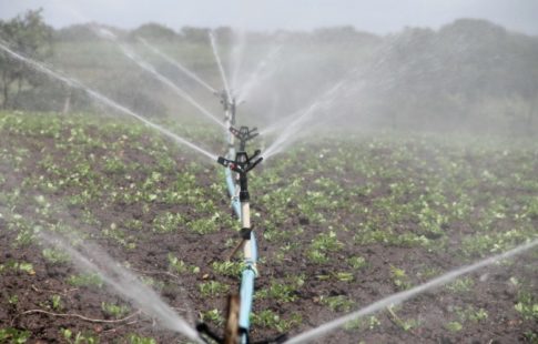 sustainable irrigation
