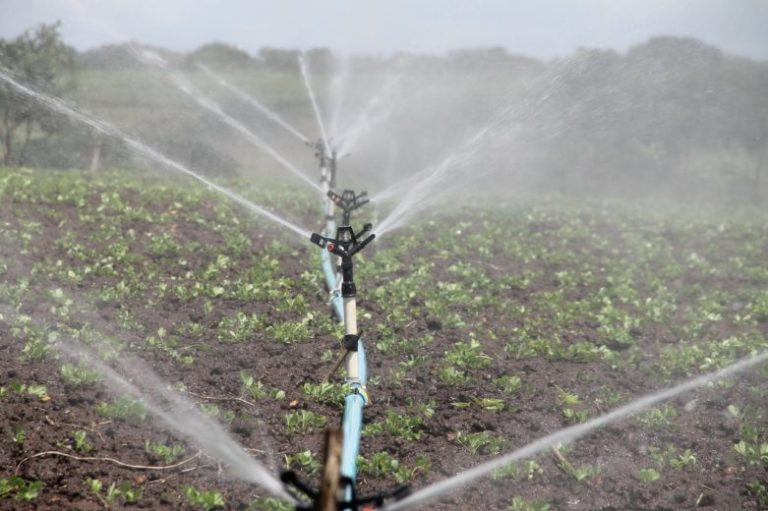 Sustainable Irrigation Systems To Reduce Agricultural Water Waste ...