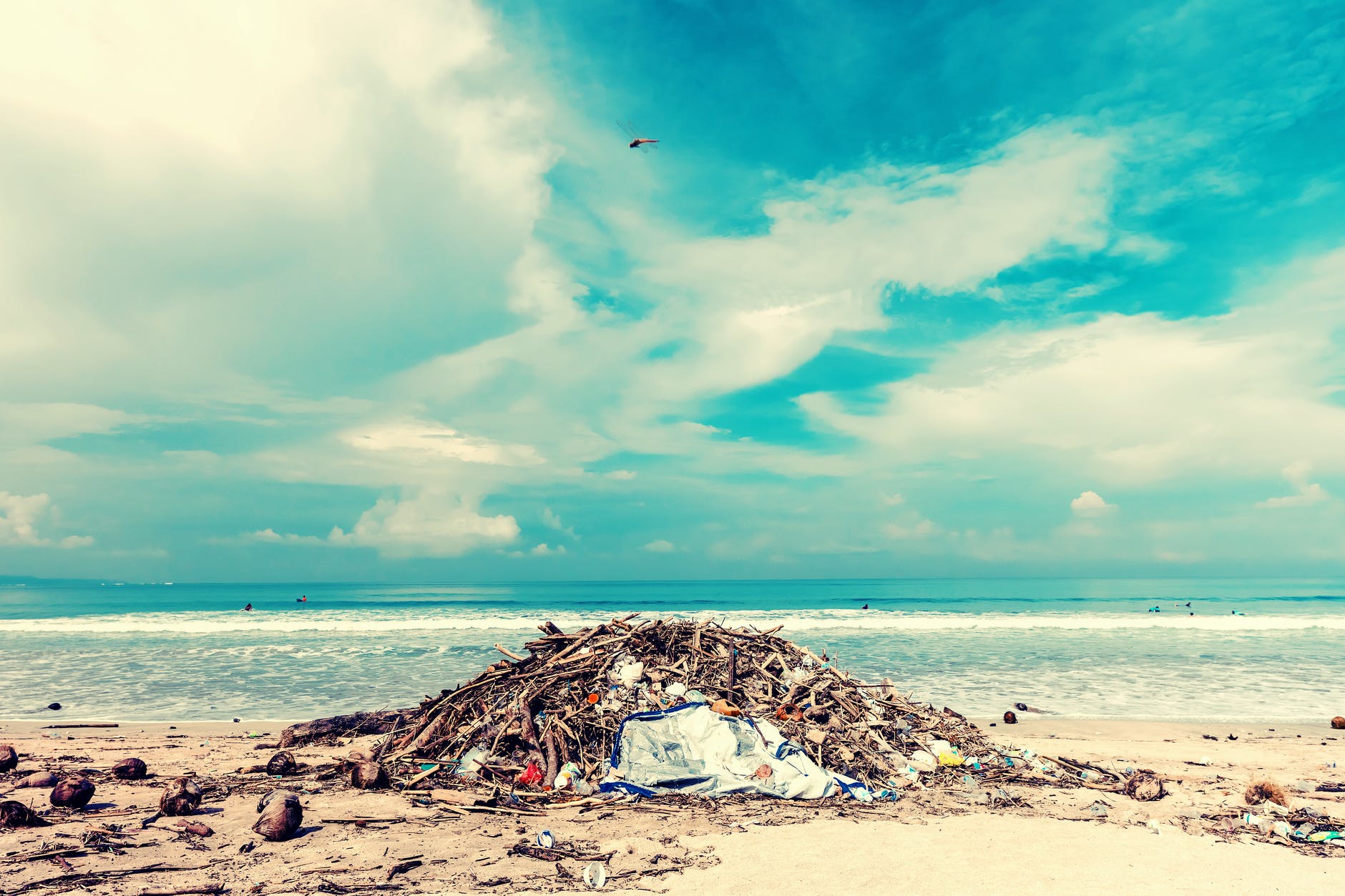 What Is Meant By Marine Pollution