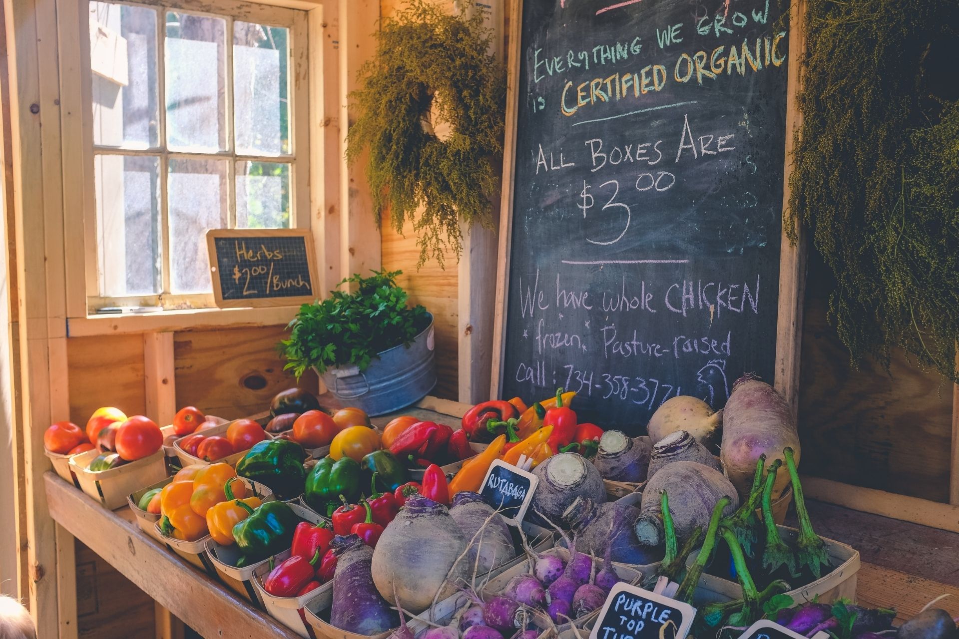 7-benefits-of-organic-farming-on-the-environment 7-benefits-of-organic-farming-on-the-environment