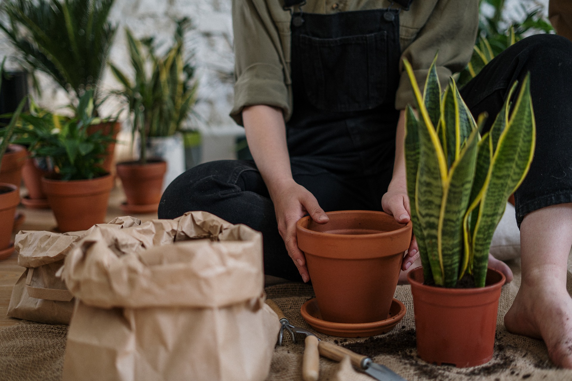 how_does_composting_work how_does_composting_work