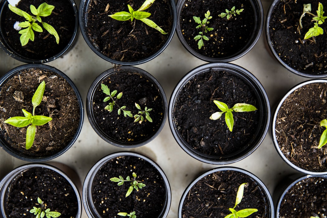 7-simle-ways-to-live-sustainably-every-day 7-simle-ways-to-live-sustainably-every-day