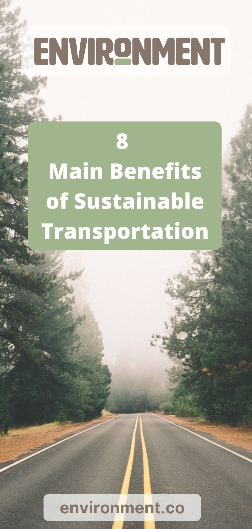 essay about sustainable transport