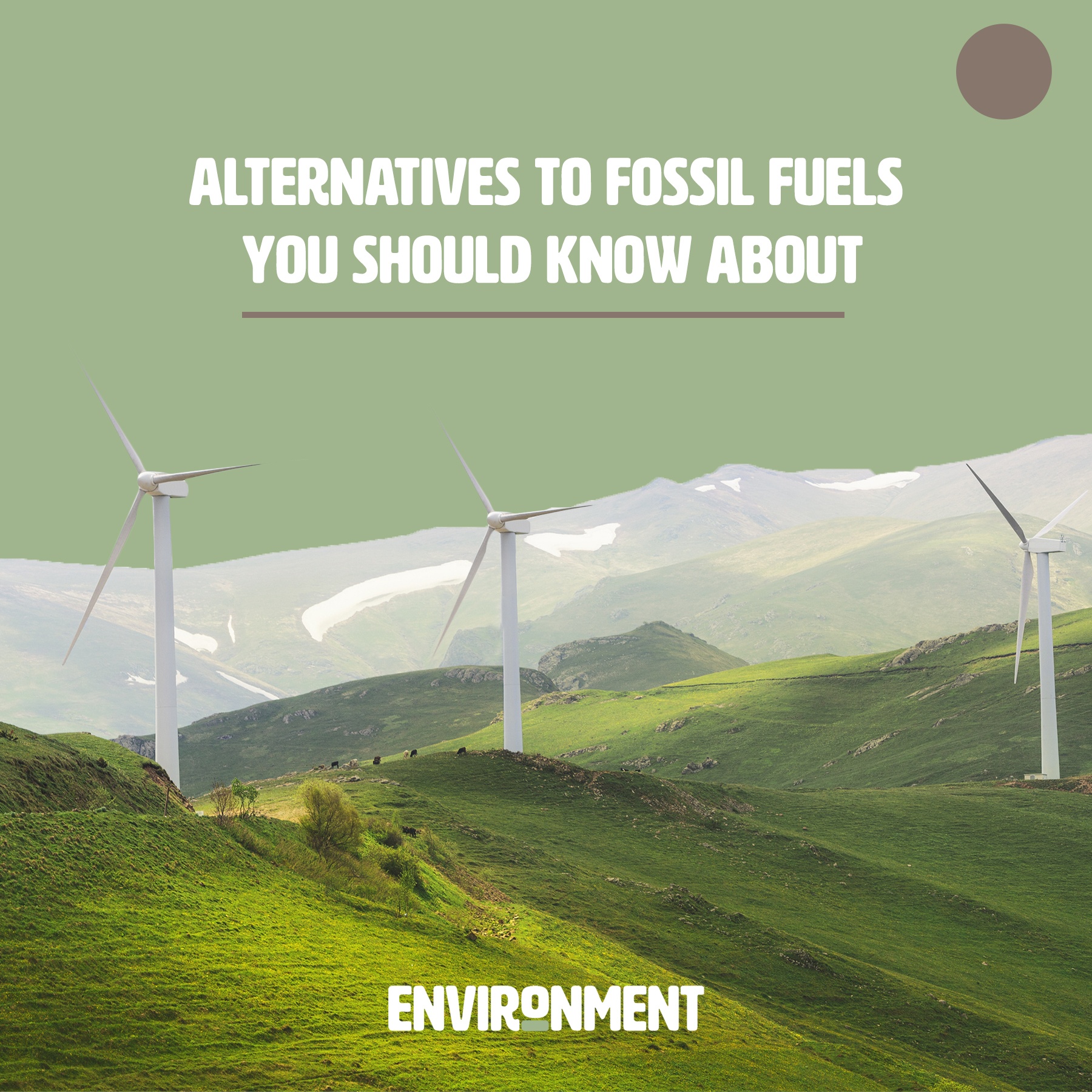 4-alternatives-to-fossil-fuels-you-should-know-environment-co