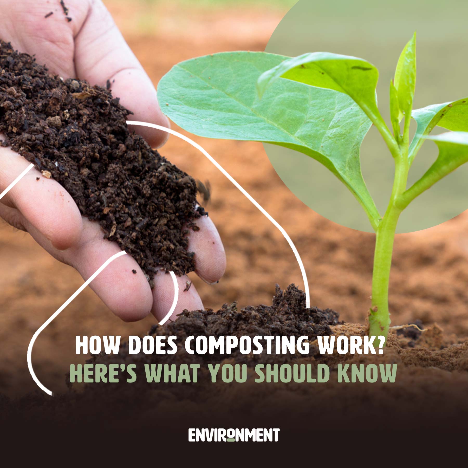 How Does Composting Work? Here's What You Should Know Environment Co