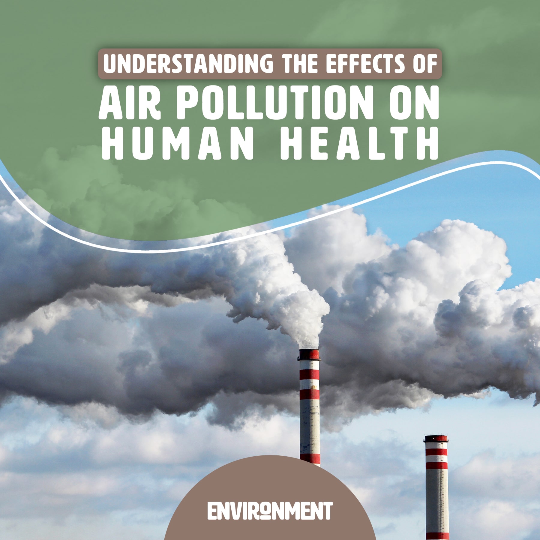 effects of pollution on human health essay brainly