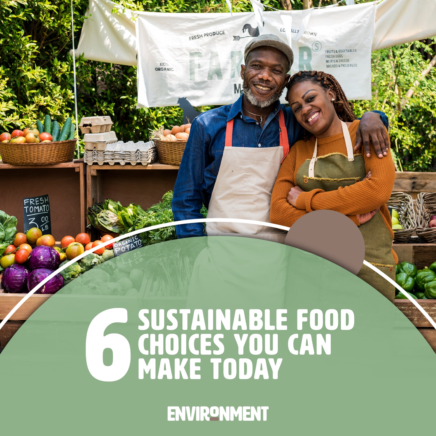 6-sustainable-food-choices-you-can-make-today-environment-co