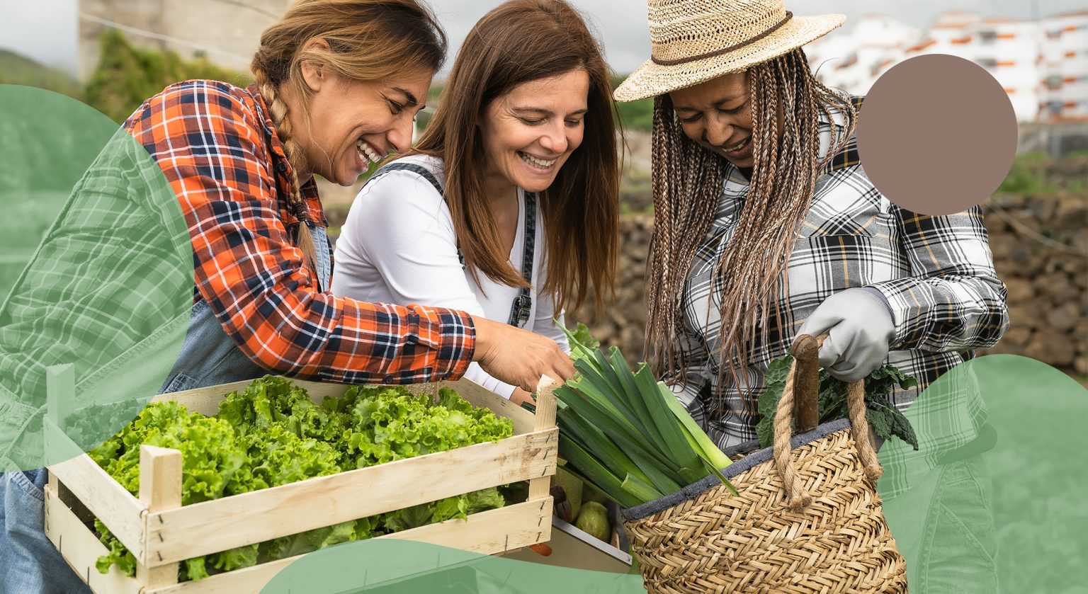 7 Benefits Of Organic Farming On The Environment Environment Co