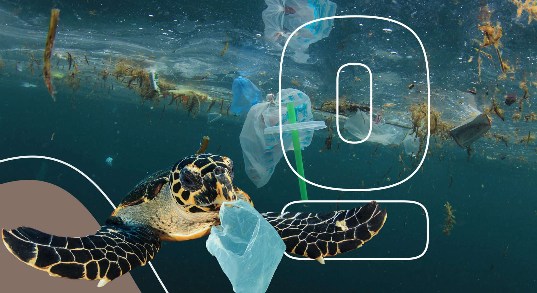 case study on plastic pollution in oceans