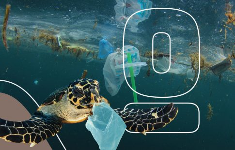 What-happens-to-plastic-in-the-ocean