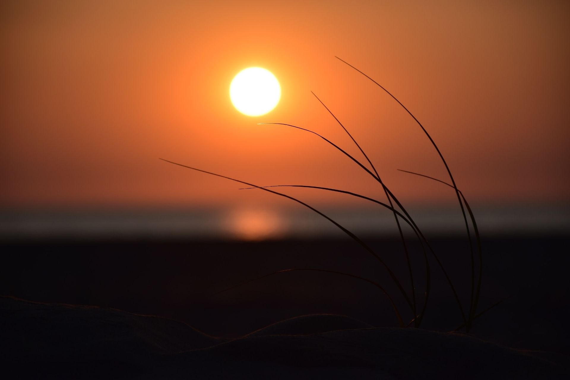 the-importance-of-solar-energy-in-our-daily-life the-importance-of-solar-energy-in-our-daily-life