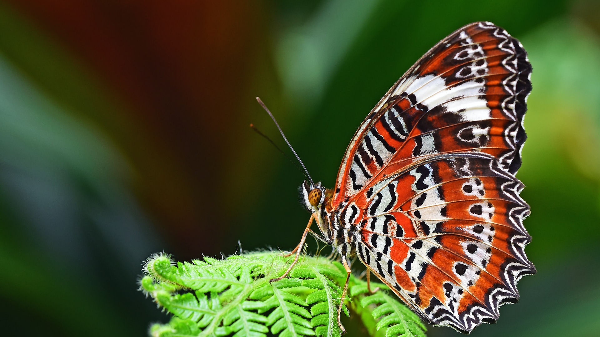 1920x1080-david-clode-djswadct1ps-unsplash(1) 1920x1080-david-clode-djswadct1ps-unsplash(1)