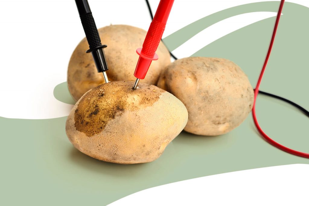 How to Make a Potato Battery Environment Co