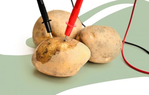 how-to-make-a-potato-battery