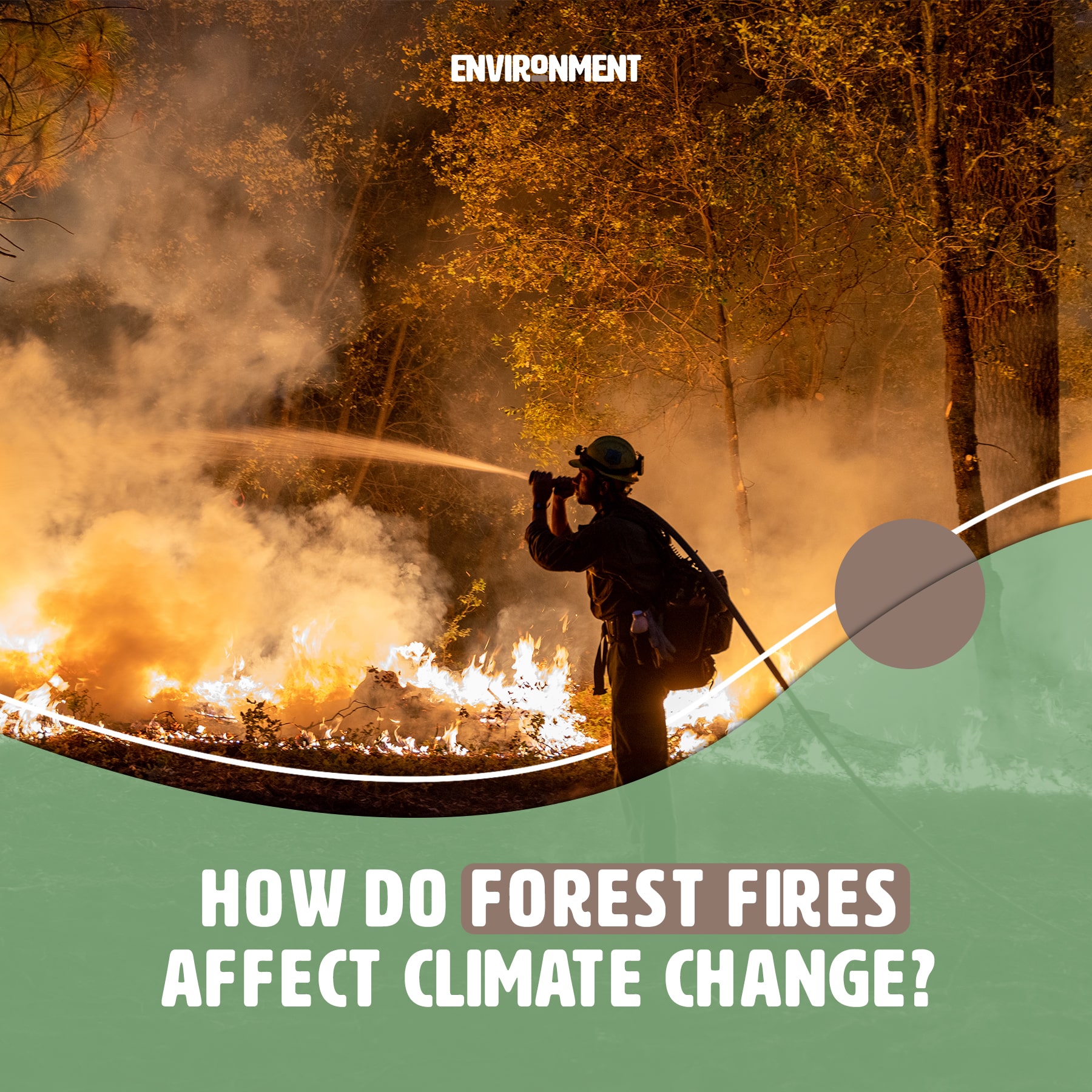 How Do Forest Fires Affect Climate Change? Environment Co